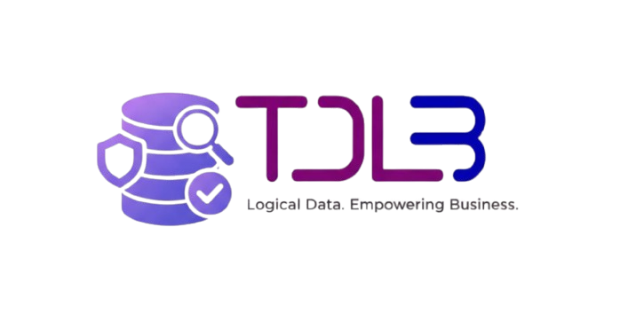 thedatalogicbusiness.com